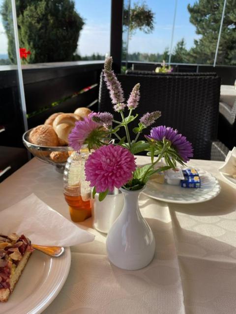 Pension Seirer Sankt Radegund bei Graz Luaran gambar